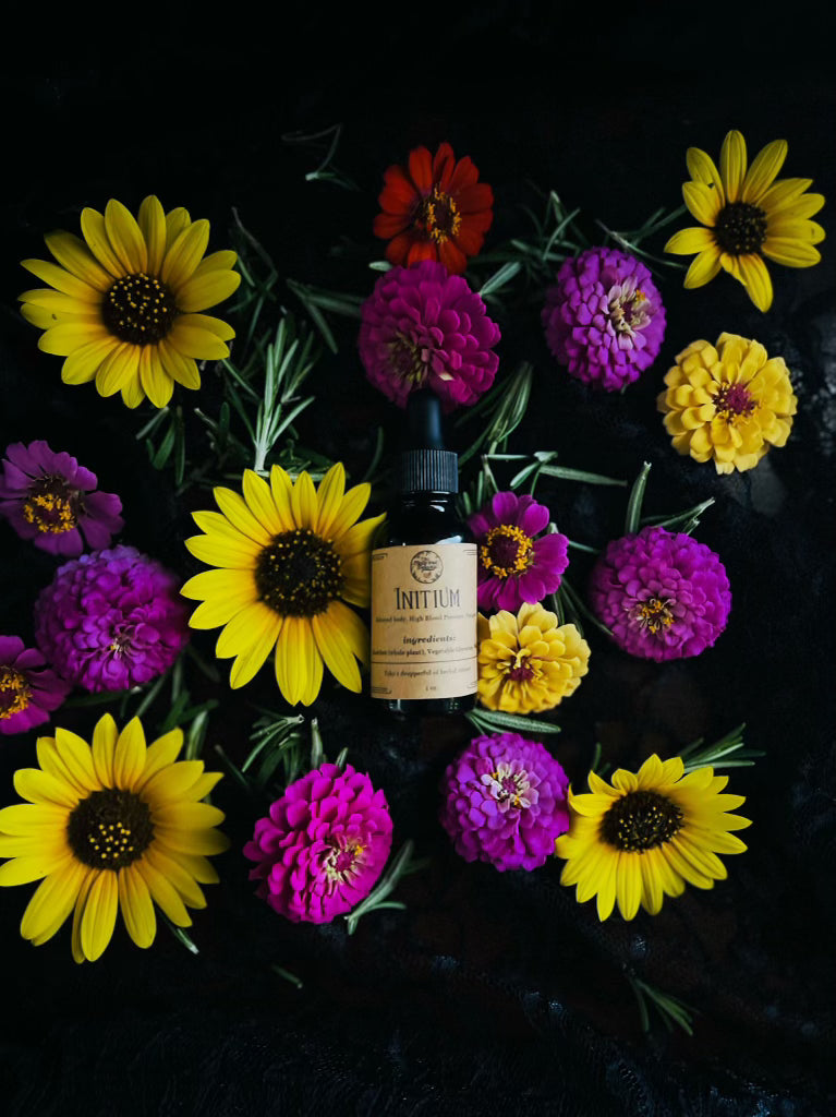 Initium Tincture (System Reset and Blood Pressure Support)