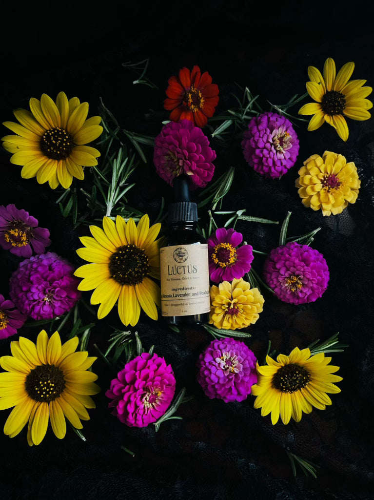 Luctus Tincture (Trauma, Grief, and Anger)
