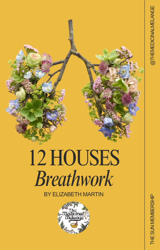 12 Houses Breathwork (Digital Download)