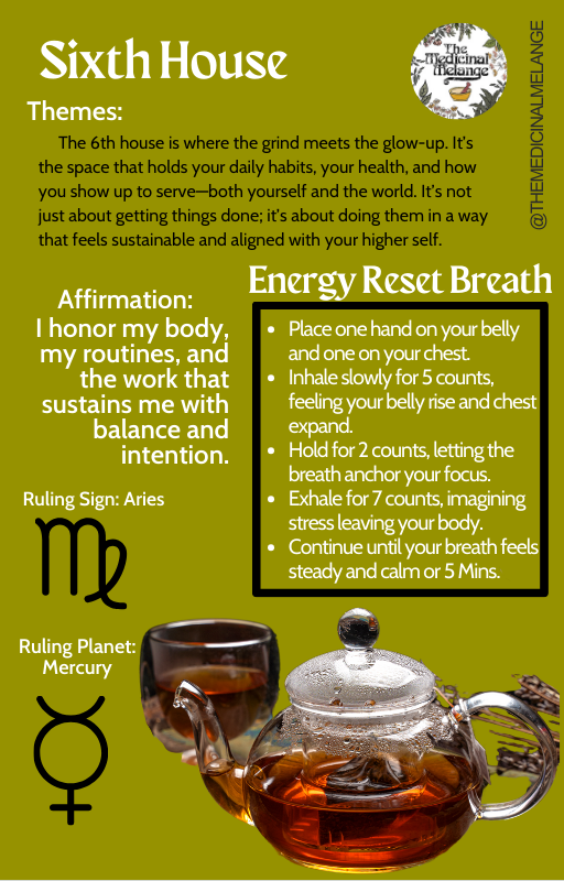 12 Houses Breathwork (Digital Download)