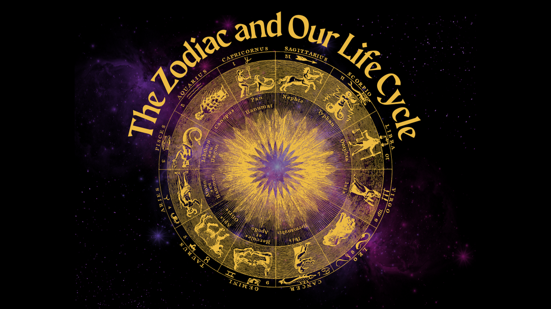 Astrology Through the Zodiac's Life Cycle