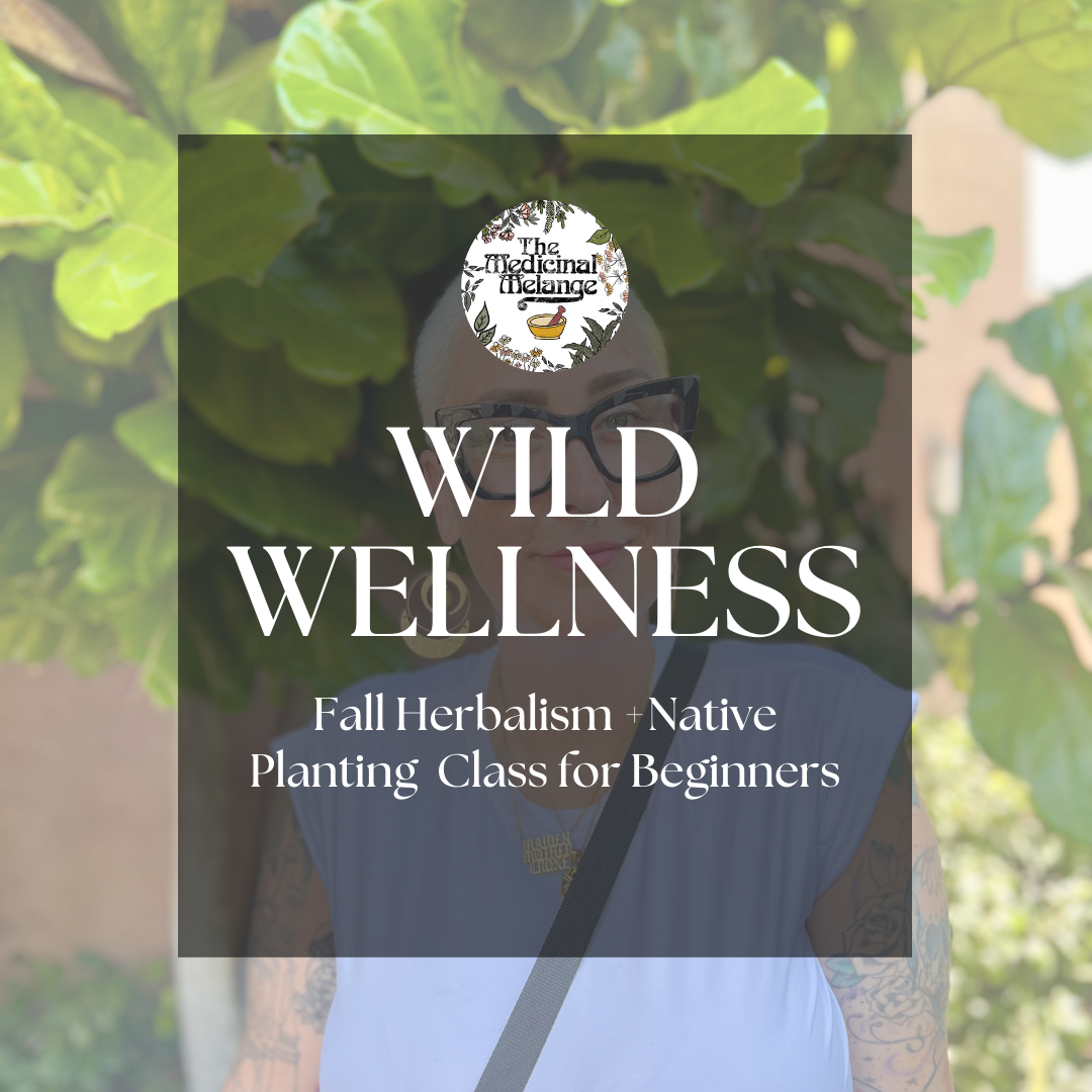 Wild Wellness: Fall Herbalism +Native Planting  Class for Beginners